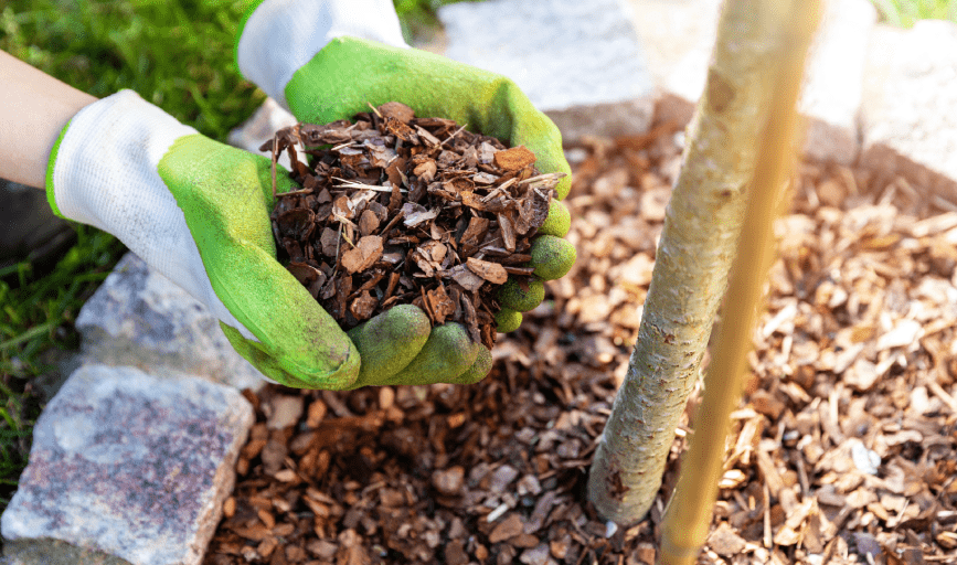 McClelland's Landscape & Tree Service